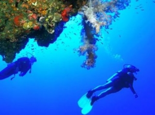  salida del club de buceo